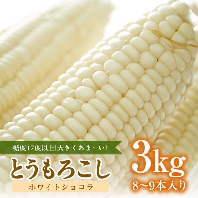 糖度17度以上!とうもろこし【ホワイトショコラ(白)】3kg詰め　8～9本入り