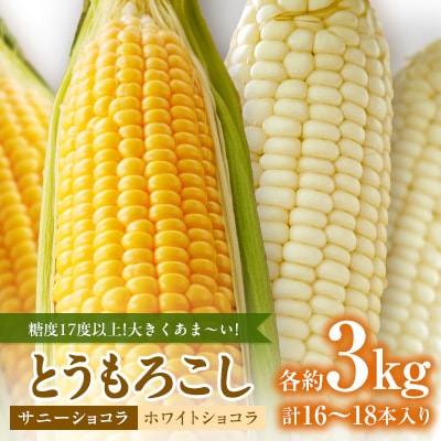 糖度17度以上!とうもろこし【ホワイトショコラ(白)とサニーショコラ(黄)】各3kg 計16～18本
