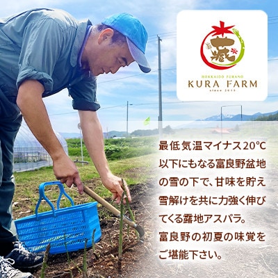 北海道ふらの産　朝どり露地グリーンアスパラガス(Lサイズ 約2kg)〈藏ファーム〉