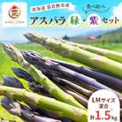 【2026年発送】富良野市産 アスパラ 緑・紫(LMサイズ混合 計1.5kg) 〈藏ファーム〉