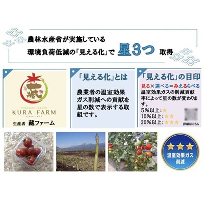 【2027年発送】富良野市産 アスパラ 緑・紫(LMサイズ混合 計1.5kg) 〈藏ファーム〉