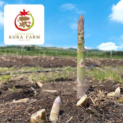 富良野市産 アスパラ 緑・紫(LMサイズ混合 計2kg) 食べ比べ〈藏ファーム〉