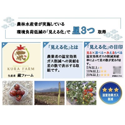 【先行受付　2026年発送】北海道ふらの産　完熟ミニトマト〈キャロル10〉約3kg サイズ混合