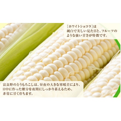 【2026年先行受付】富良野産ホワイトとうもろこし　ホワイトショコラ計10本