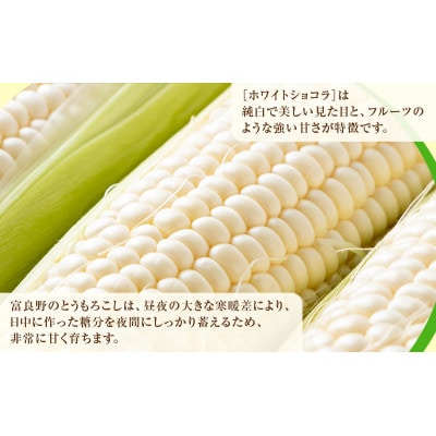 【2026年先行受付】富良野産ホワイトとうもろこし　ホワイトショコラ計20本