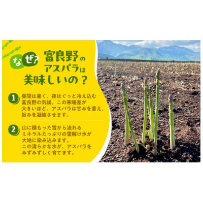 【2027年発送】ふらの産 採れたて グリーンアスパラ(M～Lサイズ混合)約1kg [産地直送]