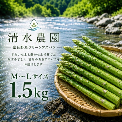 【2027年発送】ふらの産 採れたて グリーンアスパラ(M～Lサイズ混合)約1.5kg [産地直送]