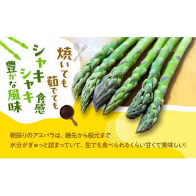 【2027年発送】ふらの産 採れたて グリーンアスパラ(M～Lサイズ混合)約1.5kg [産地直送]