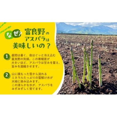 【2027年発送】ふらの産 採れたて グリーンアスパラ(M～Lサイズ混合)約2kg [産地直送]