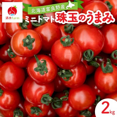 【2026年発送】清水farm【ミニトマト2kg】『珠玉のうまみ』