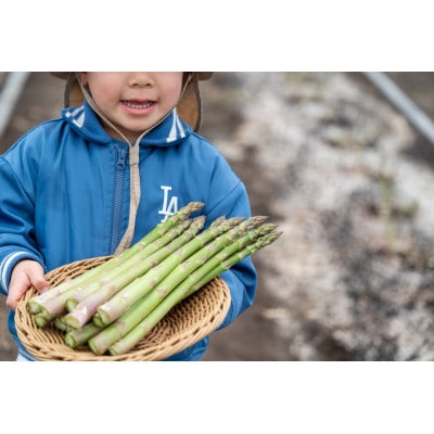 【2027年発送先行受付】アスパラ1kg Lサイズ　富良野産