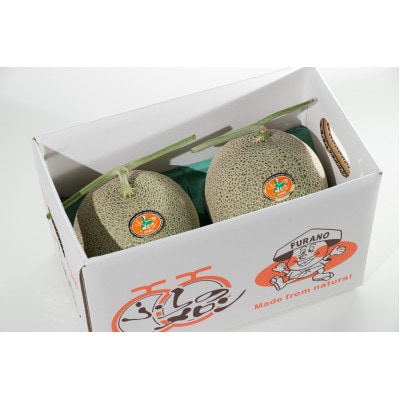 【先行受付　2026年発送】赤肉メロン　1.6kg×2玉