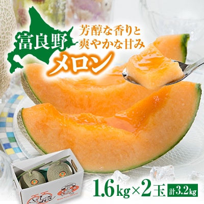 【先行受付　2026年発送】赤肉メロン　1.6kg×2玉