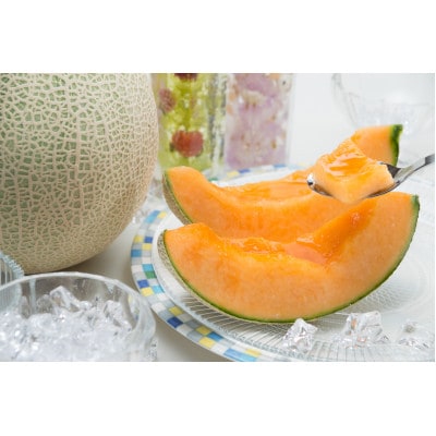 【先行受付　2026年発送】赤肉メロン　1.6kg×2玉