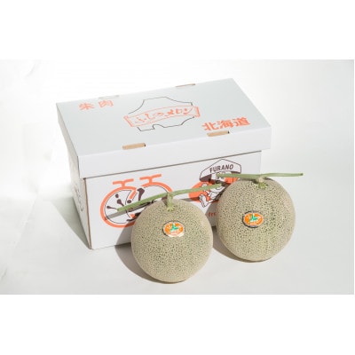 【先行受付　2026年発送】赤肉メロン　1.6kg×2玉