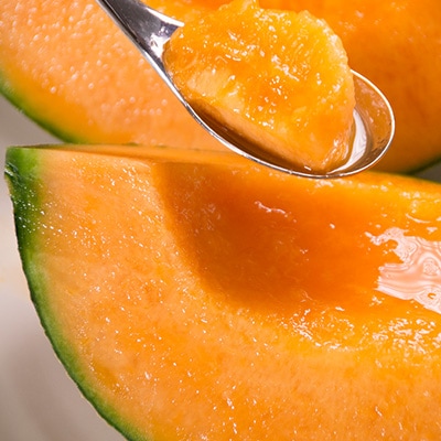 【先行受付　2026年発送】赤肉メロン　1.6kg×2玉