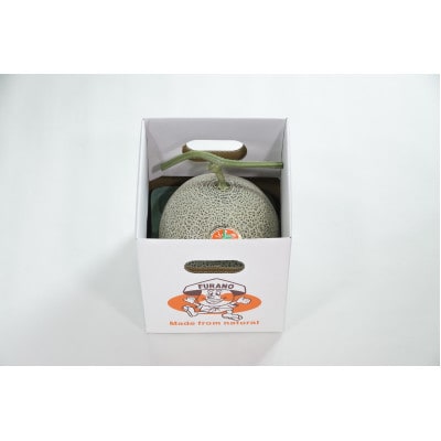 【先行受付　2026年発送】赤肉メロン　1.6kg×1玉