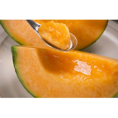 【先行受付　2026年発送】赤肉メロン　2kg×1玉