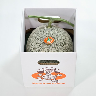 【先行受付　2026年発送】赤肉メロン　2kg×1玉