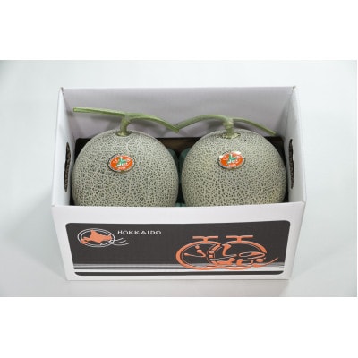 【先行受付　2026年発送】赤肉メロン　2kg×2玉