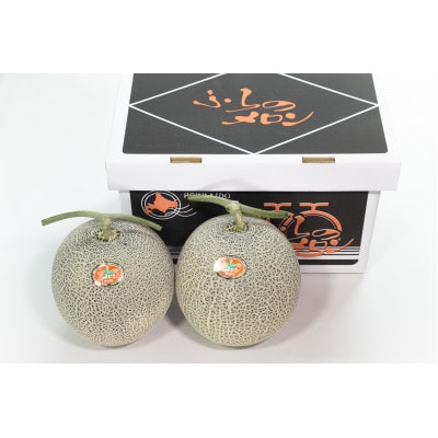 【先行受付　2026年発送】赤肉メロン　2kg×2玉