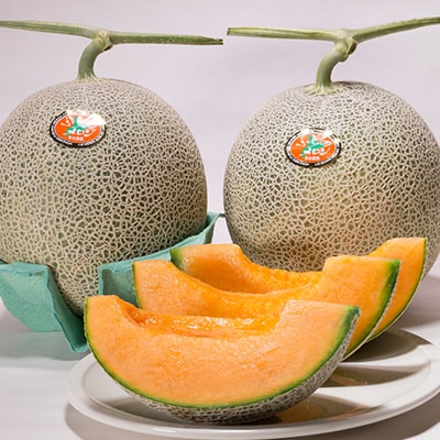 【先行受付　2026年発送】赤肉メロン　2kg×2玉