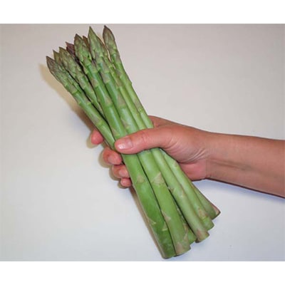 北海道富良野産アスパラ　L　1kg40本前後