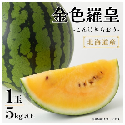 【極甘・驚異の糖度】北海道産 黄肉スイカ「金色羅皇(こんじきらおう)」1玉(5kg以上)8月以降発送