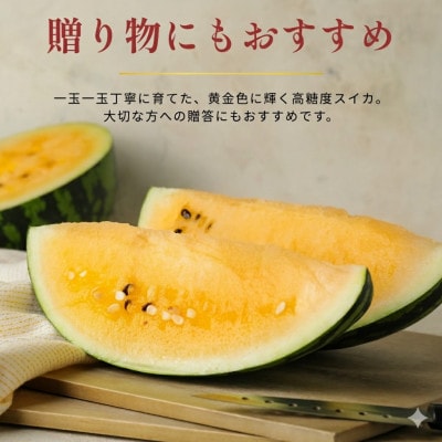 【極甘・驚異の糖度】北海道産 黄肉スイカ「金色羅皇(こんじきらおう)」1玉(5kg以上)8月以降発送