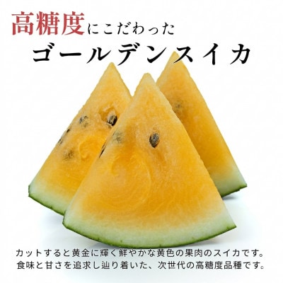【極甘・驚異の糖度】北海道産 黄肉スイカ「金色羅皇(こんじきらおう)」1玉(5kg以上)8月以降発送