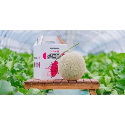 富良野産　赤肉メロン　1.5kg～2kg×1玉