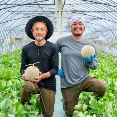 富良野産　赤肉メロン　1.5kg～2kg×1玉