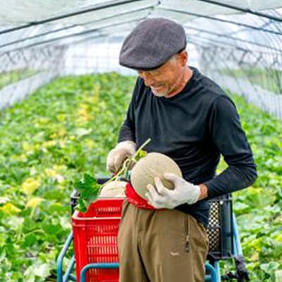 【2027年発送先行受付】富良野産　赤肉メロン　1.5kg～2kg×1玉