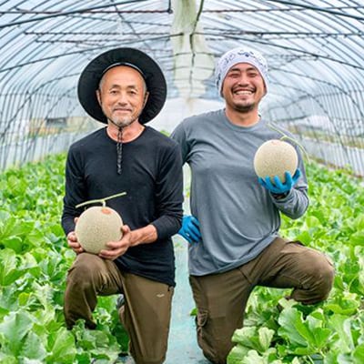 【2027年発送先行受付】富良野産　赤肉メロン　1.5kg～2kg×1玉