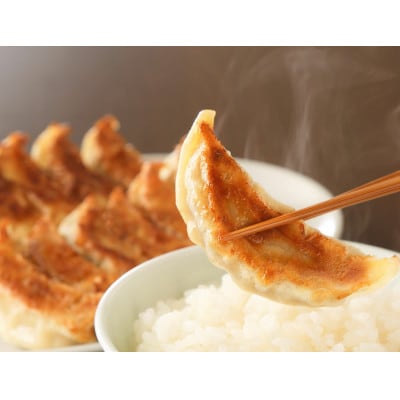 長期熟成にんにくの芳醇な旨味が決め手　肉餃子・野菜餃子詰合せ48個入り(各12個入×2パック)