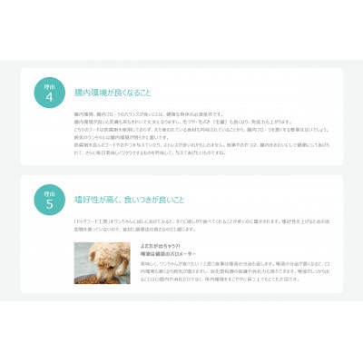 【無添加】安心・安全・美味しい　ドッグフード工房　3袋セット(馬肉小粒　700g×3)