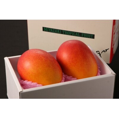 宮崎県産完熟マンゴー 太陽のタマゴ 約2kg お礼品詳細 ふるさと納税なら さとふる