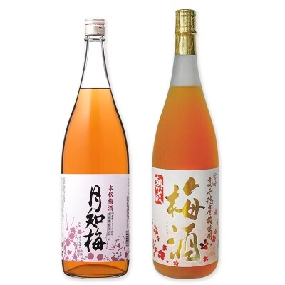 ◆宮崎の梅酒2本セット