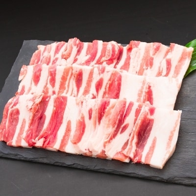 ◆宮崎県産 お米豚焼肉セット(合計1kg)