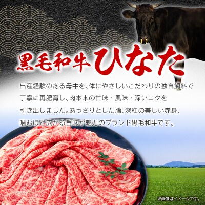 ◆黒毛和牛ひなたモモスライス(500g)