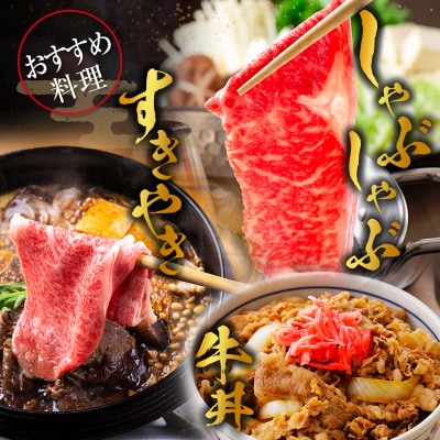 ◆黒毛和牛ひなたモモスライス(500g)