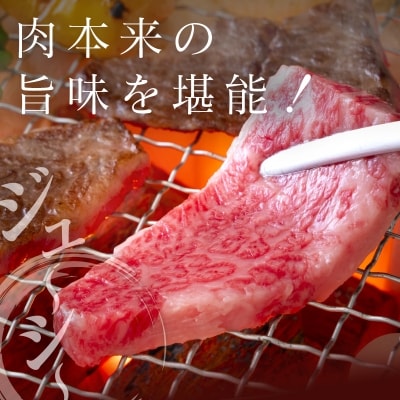 ◆宮崎牛モモ焼肉(500g)