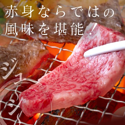 ◆宮崎牛ウデ焼肉(500g1パック)