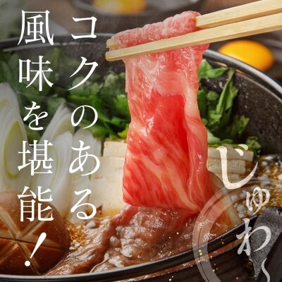 ◆宮崎牛モモスライス(500g)