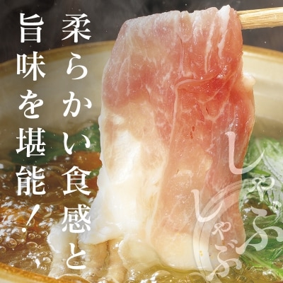 ◆宮崎ブランドポーク　ロースしゃぶしゃぶ用(合計1.5kg)