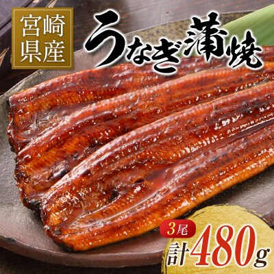 宮崎県産 うなぎ 蒲焼 3尾 計480g 個包装 長焼 国産 鰻