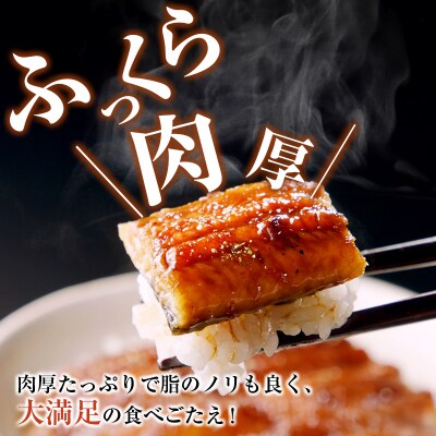 宮崎県産 うなぎ 蒲焼 3尾 計480g 個包装 長焼 国産 鰻