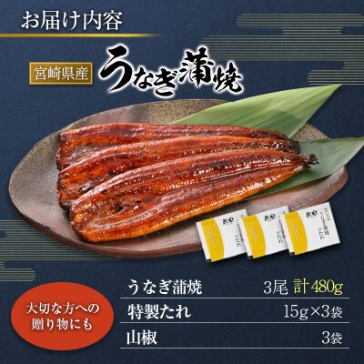 宮崎県産 うなぎ 蒲焼 3尾 計480g 個包装 長焼 国産 鰻