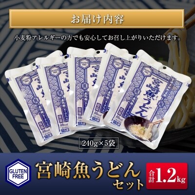 ◆宮崎魚うどんセット　(合計1.2kg)
