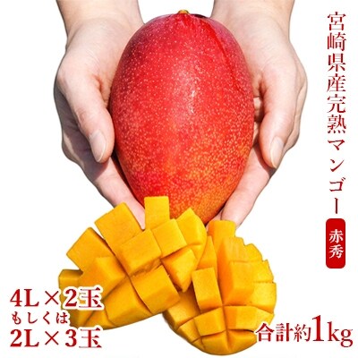 ◇宮崎県産完熟マンゴー[赤秀] 合計約1kg(2～3玉)